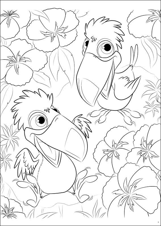 coloriage rio les petits toucans de rafael